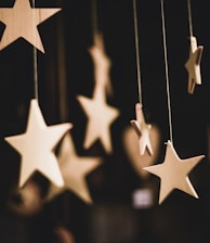 shallow focus photo of wooden stars hanging decor