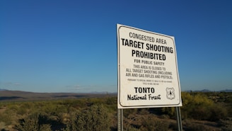 A sign stands in a natural landscape under a clear blue sky, indicating that target shooting is prohibited for public safety. It specifies that the area is closed to all target shooting, including air and gas rifles and pistols. The surroundings consist of desert vegetation, including shrubs and cacti, with distant mountains visible on the horizon.