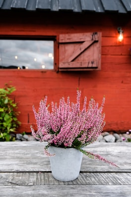 Violet flowers arranged in charming small pots on a wooden table.