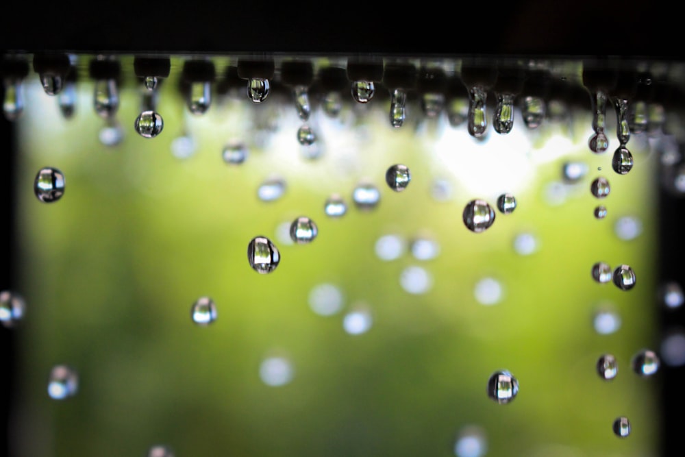 drops of water are hanging from a window