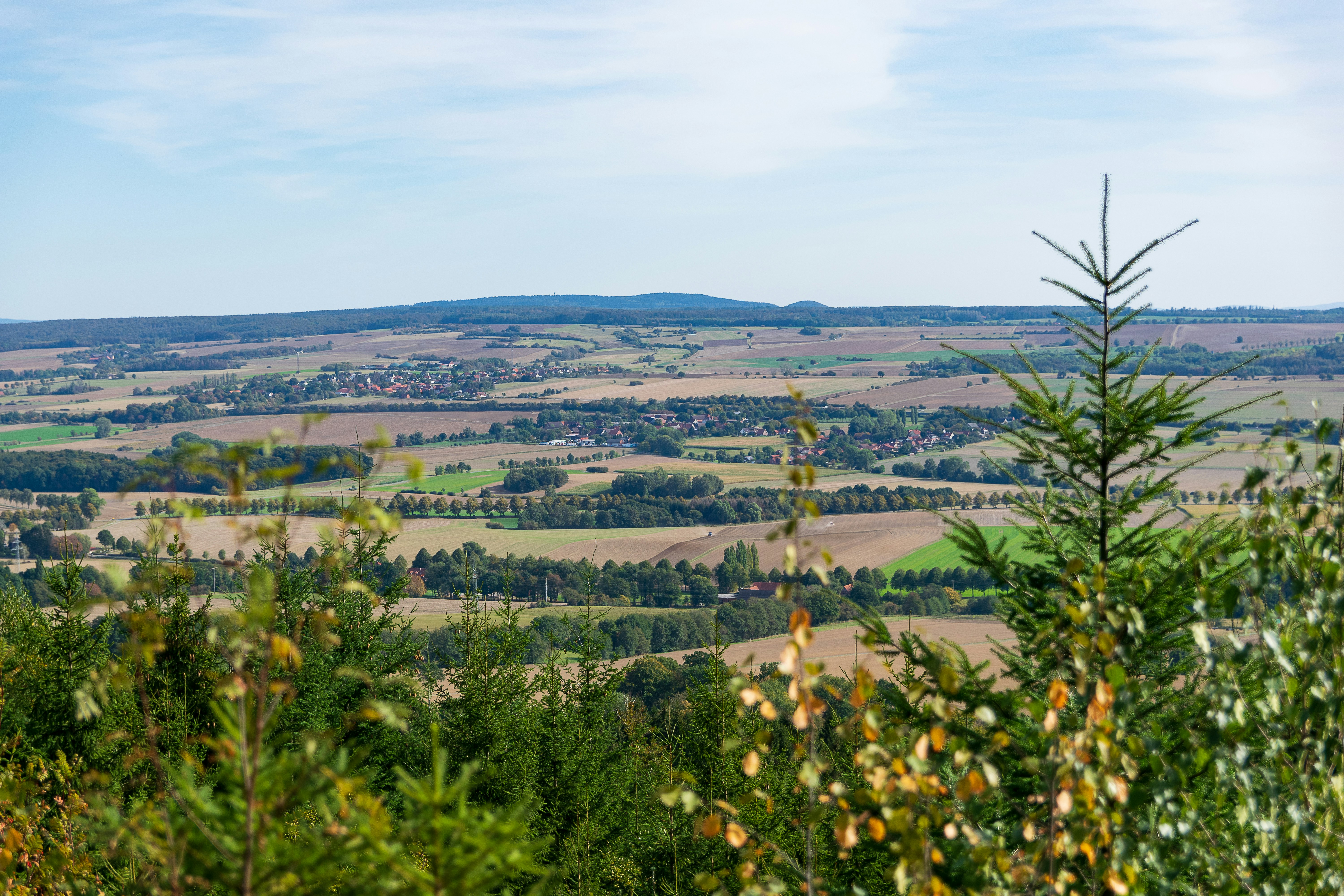 Photo by binekrafczyk