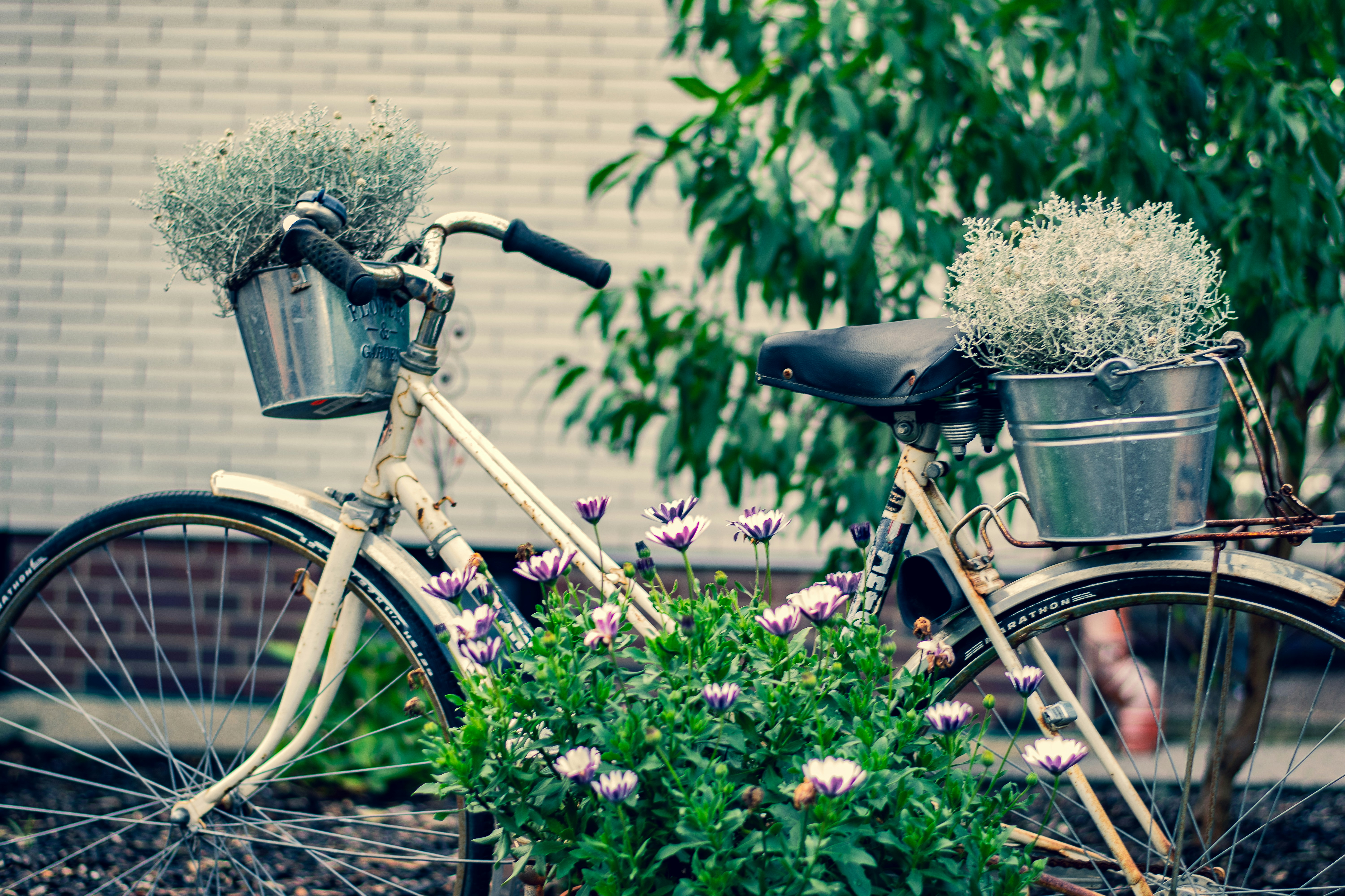 Photo by binekrafczyk