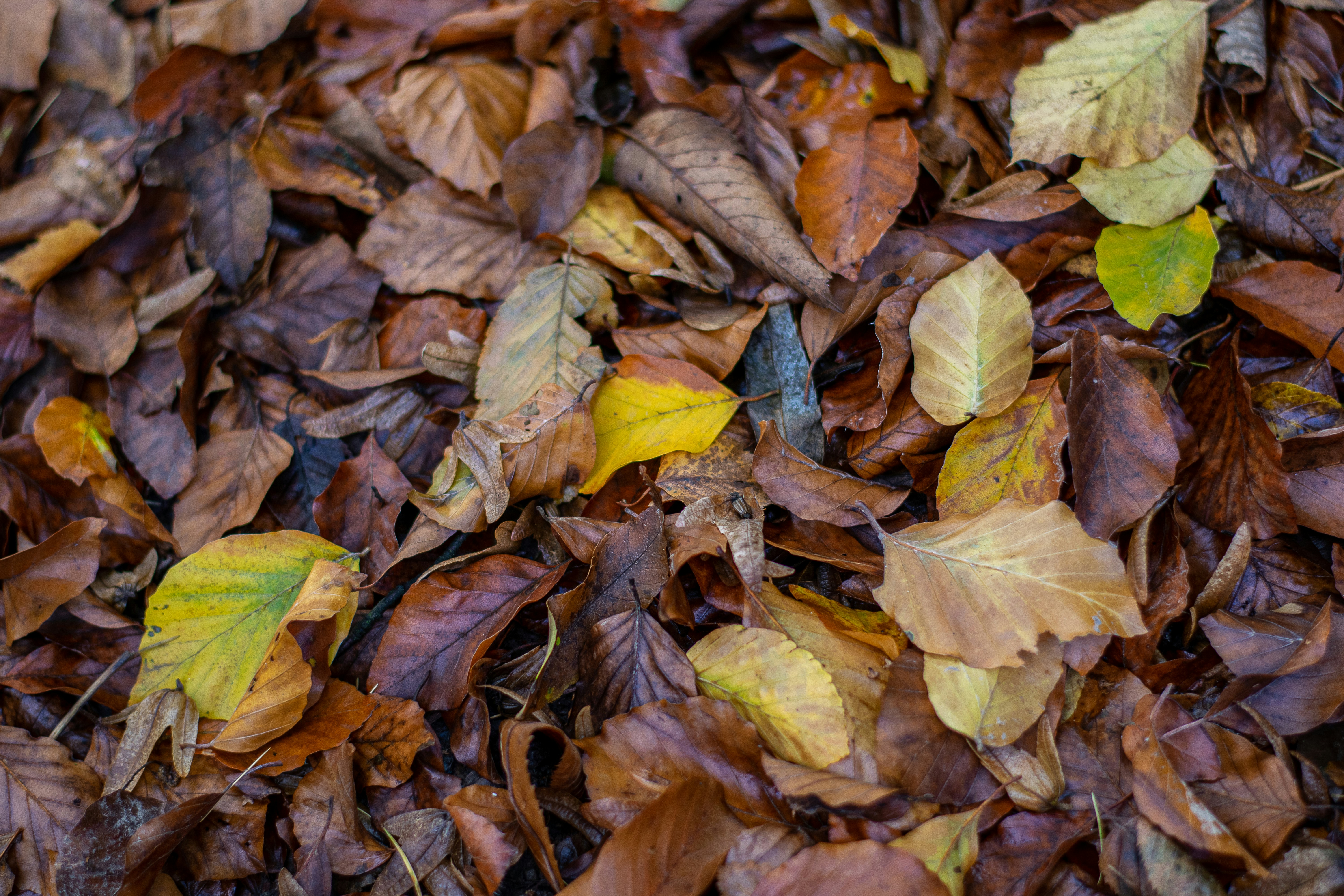 Photo by binekrafczyk