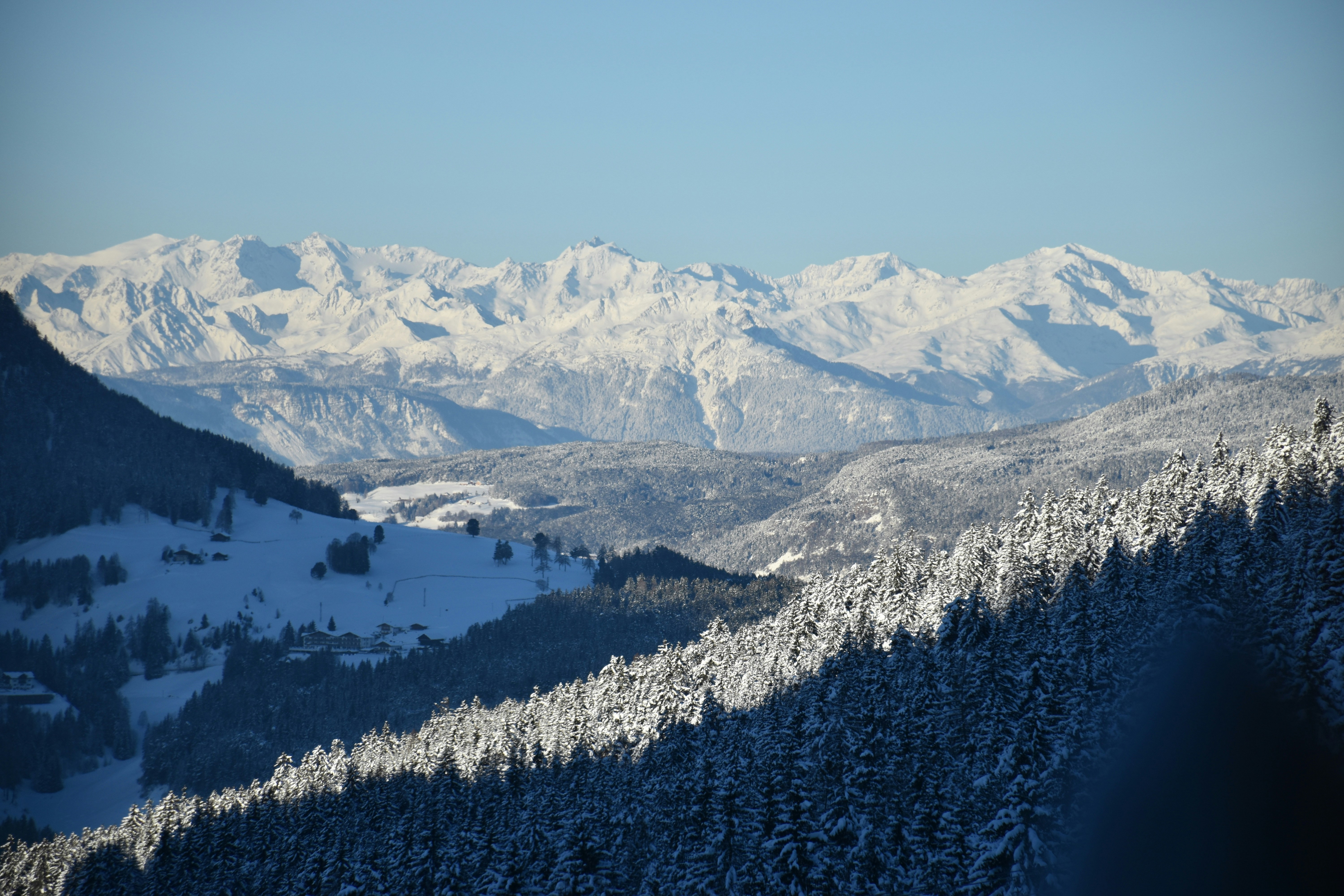 Photo by arnosenoner