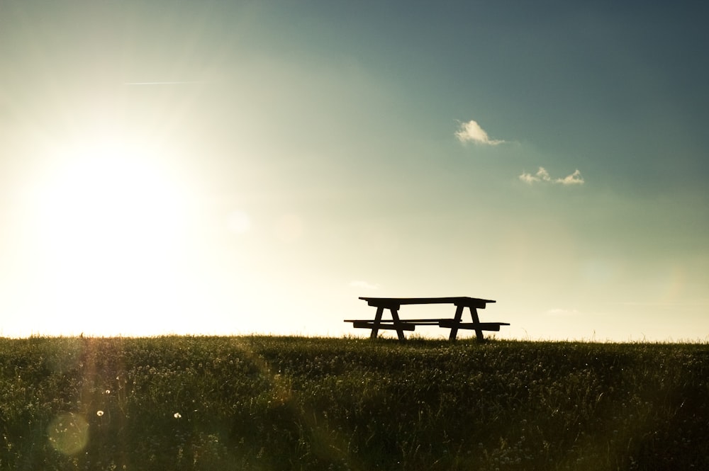 a bench in the middle of a grassy field