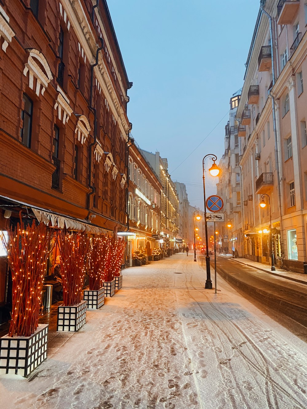 snow covered ground