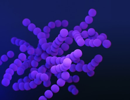 Choline, Gut Health, and Heart Health: A Balancing Act