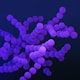 Medical illustration of clindamycin-resistant group B Streptococcus bacteria
