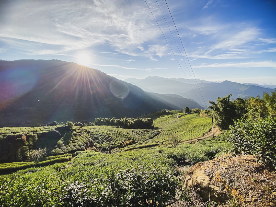 Unveiling Sonoma's Hidden Gems 7 Off-the-Beaten-Path