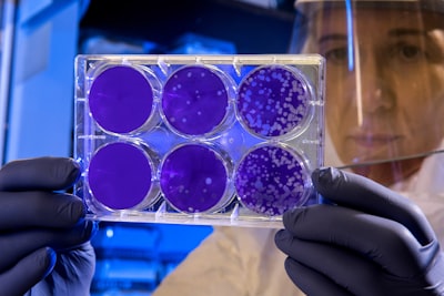 stem cell samples in lab
