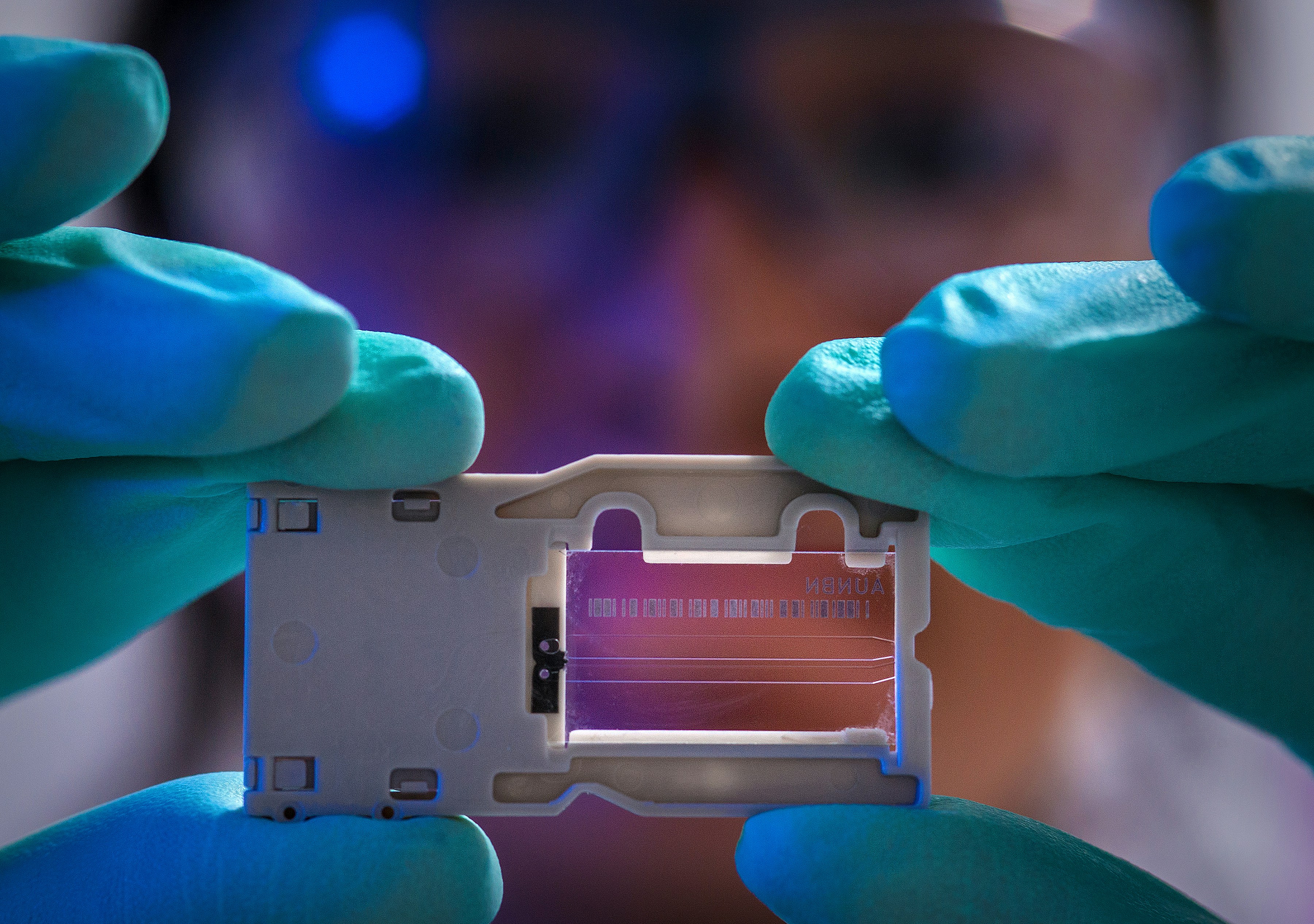 Buku Terjemahan dan Lokal