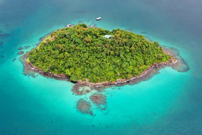 aerial green island