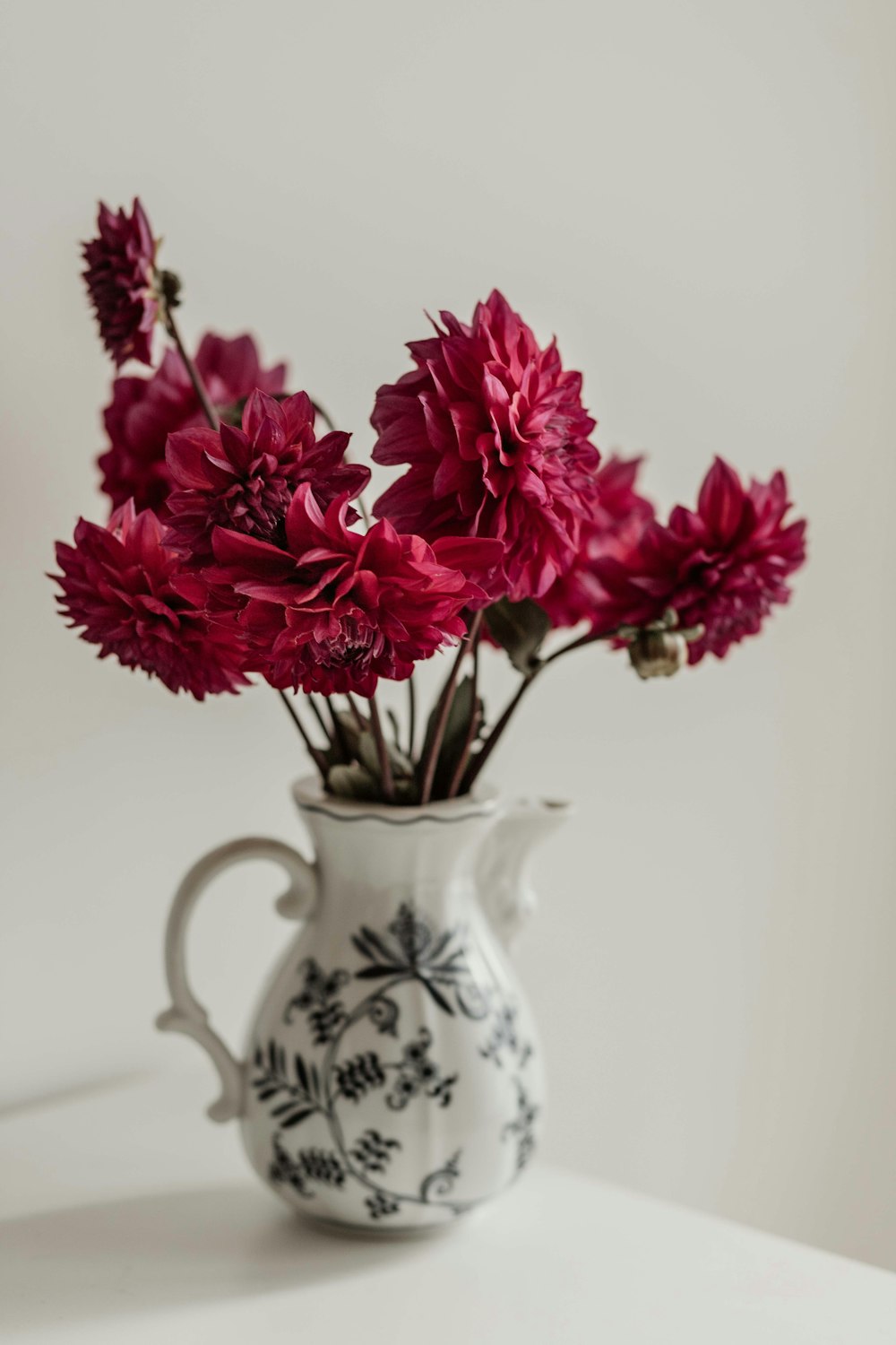 red petaled flowers