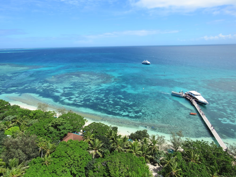 seashore scenery