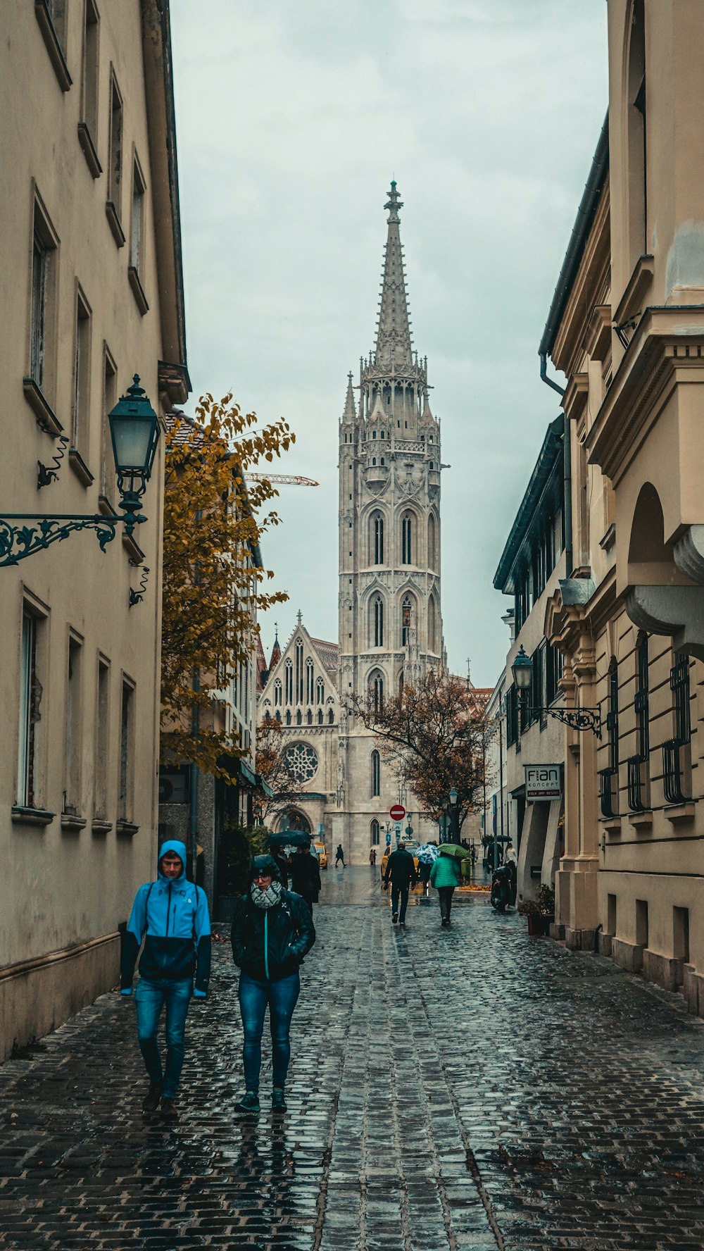 people walking on road