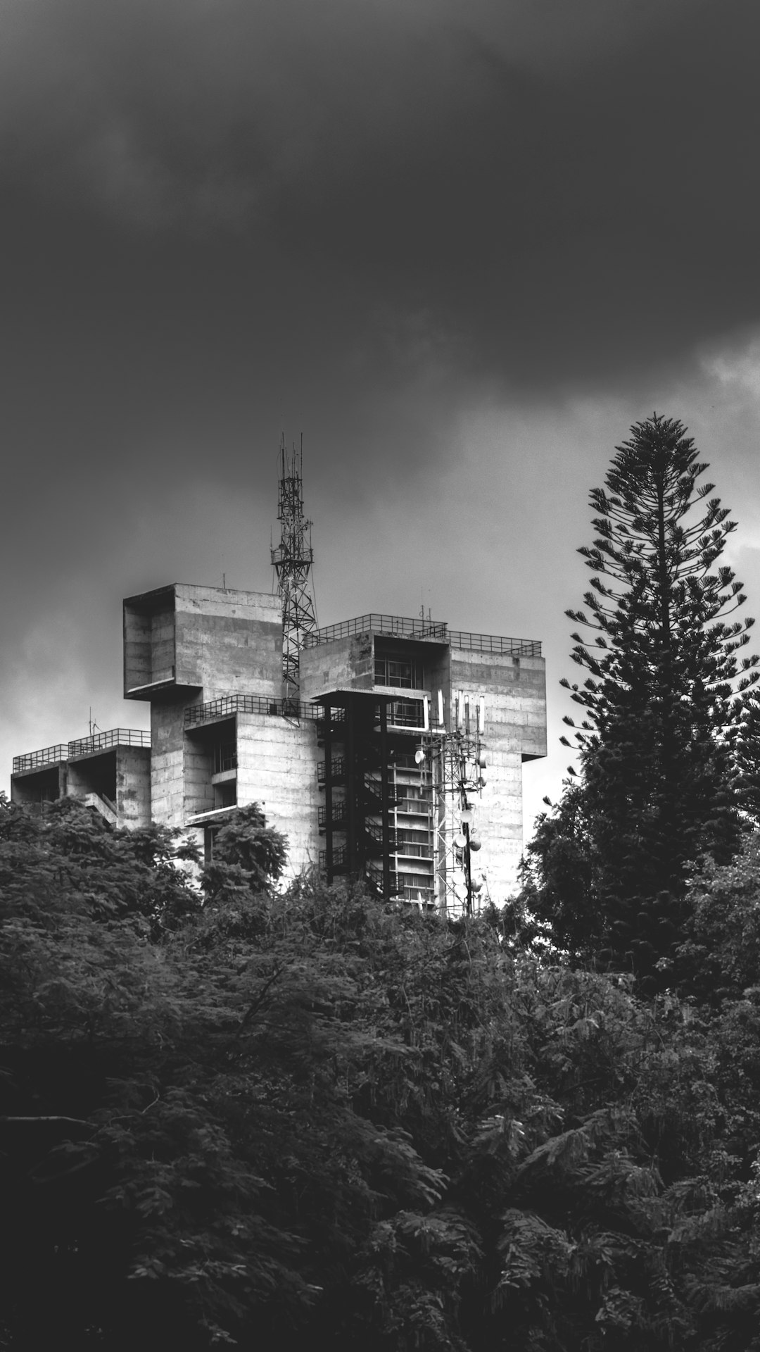grayscale photography of trees and building during daytime