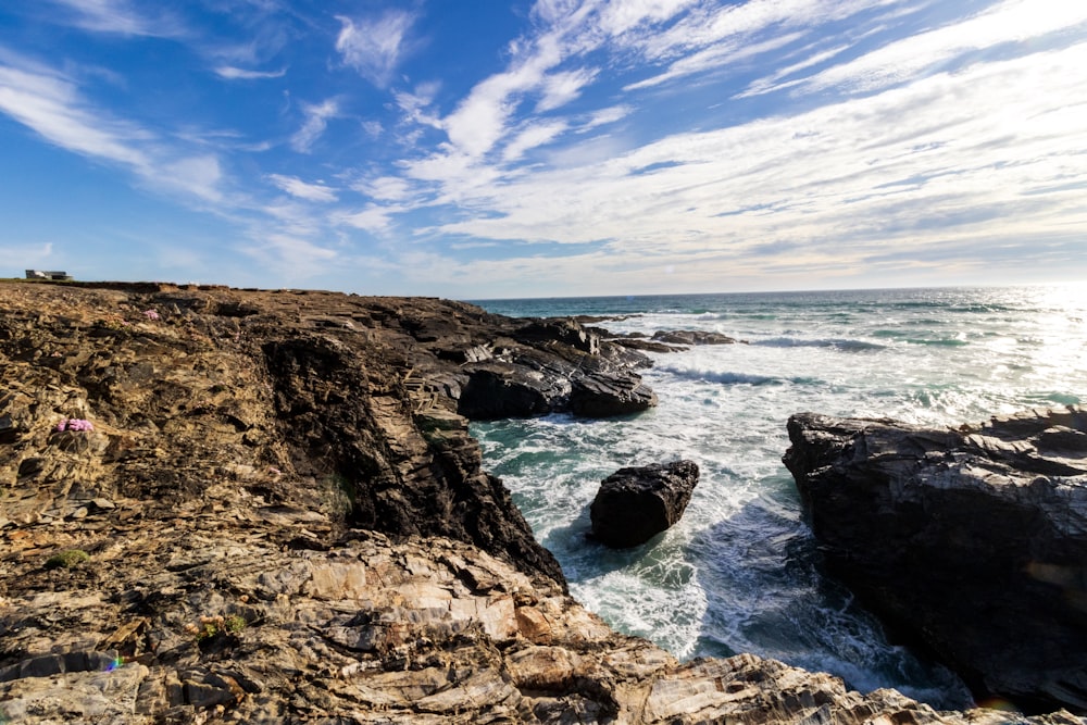 photography of seashore during daytime