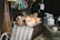 A group of cats is resting together on a makeshift wooden platform outside. They are surrounded by various household items, including brooms, a metal rake, and several gas canisters. The environment has a rustic, cluttered appearance.