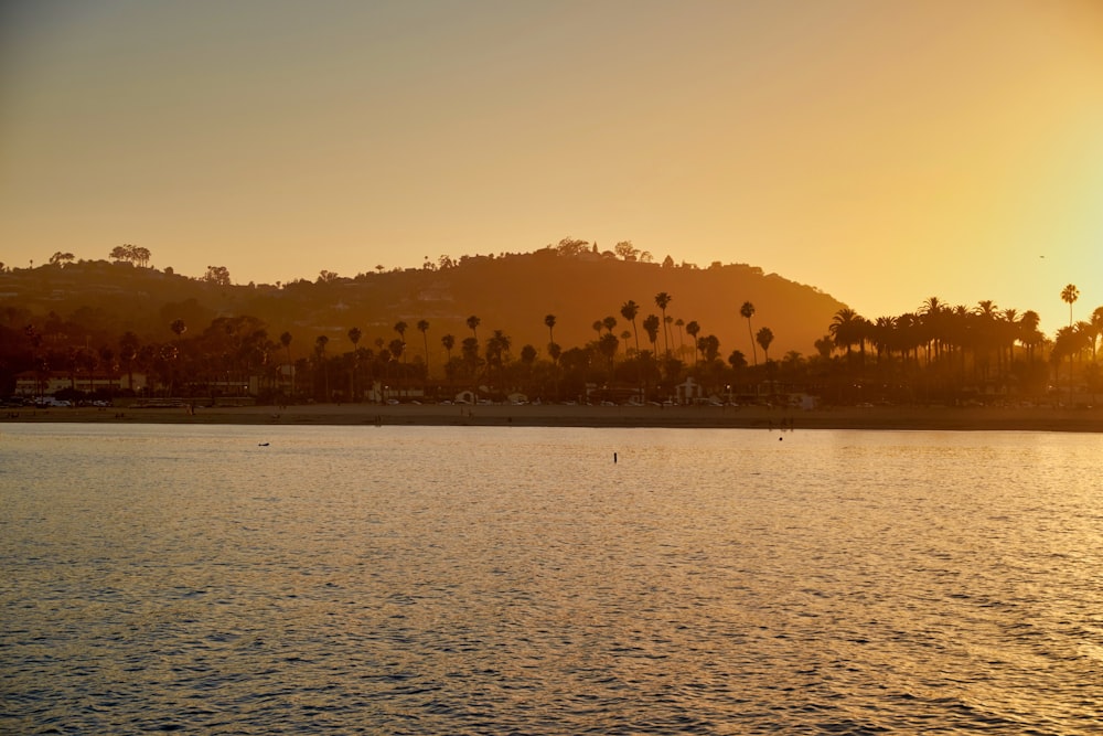 a large body of water with palm trees in the background