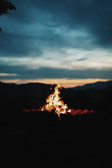 A rugged prehistoric landscape under a cold blue sky, with a lone figure standing near a flickering campfire.