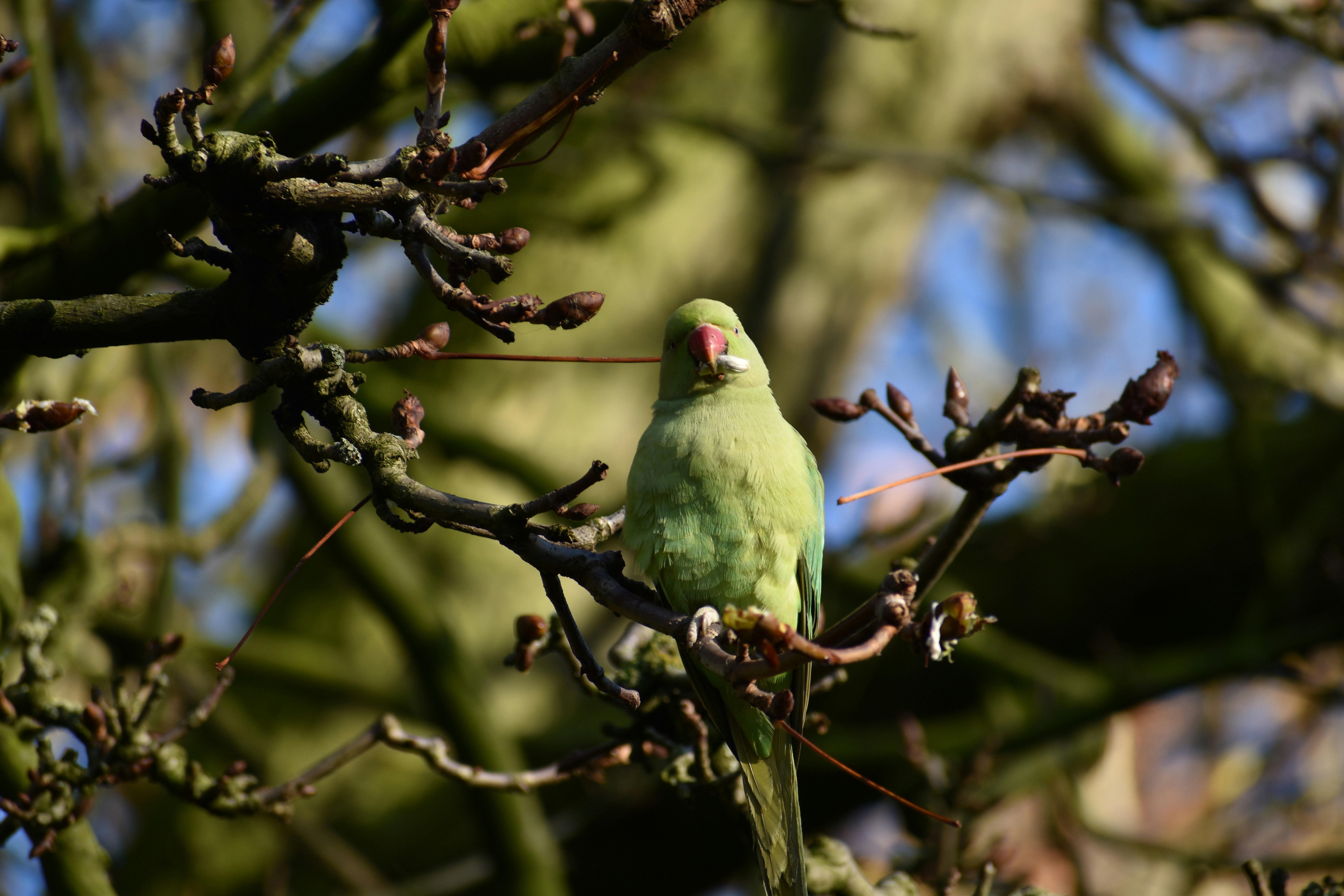 Photo by nickanddjalila