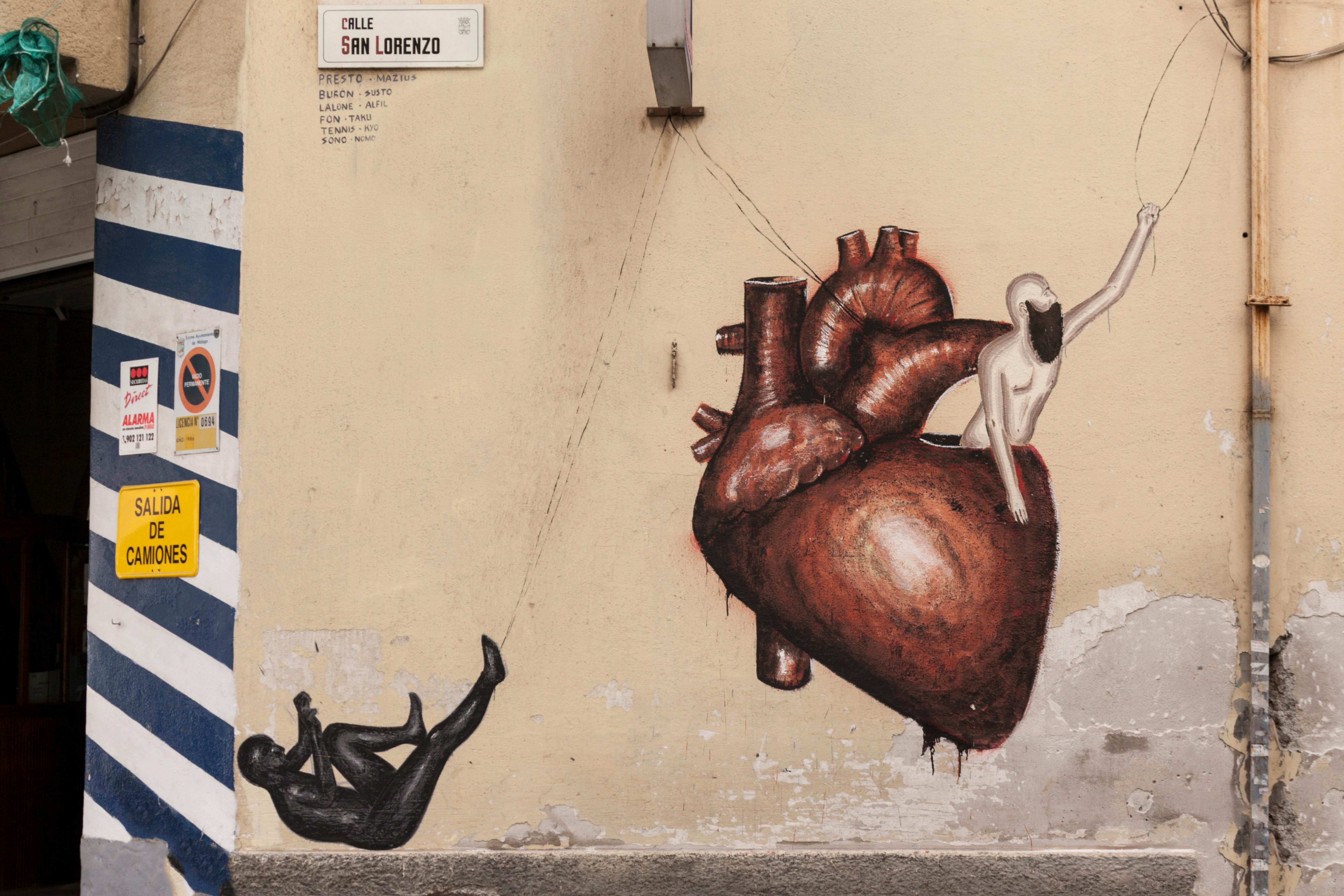brown human heart illustration