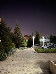 Well-maintained internal roads with compacted gravel and street lighting.