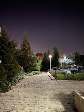 Well-maintained internal roads with compacted gravel and street lighting.