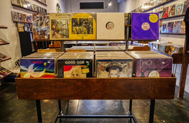 A vibrant punk rock store shelf showing rows of vinyl records and band merchandise in a grid layout.