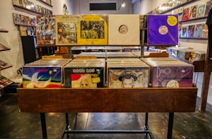 A well-organized record store display featuring a variety of vinyl albums. The records are neatly arranged in wooden bins, categorized by genre with visible labels such as 'Rock' and 'Psych/Prog'. The album covers visible feature a mix of vibrant and subdued artwork, suggesting a diverse collection. The store's interior is dimly lit, with more records lining the walls in the background.