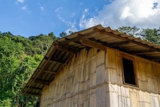 A rustic structure made of bamboo panels with a corrugated metal roof is set against a backdrop of dense green foliage. The sky is bright and clear with a few scattered clouds, suggesting an outdoor rural setting.
