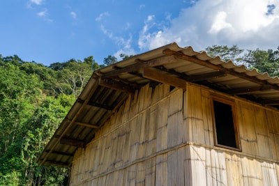 A rustic structure made of bamboo panels with a corrugated metal roof is set against a backdrop of dense green foliage. The sky is bright and clear with a few scattered clouds, suggesting an outdoor rural setting.