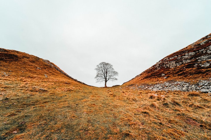 Bloody Ties — My Link To The Border Reivers And Carlisle’s Cursing Stone