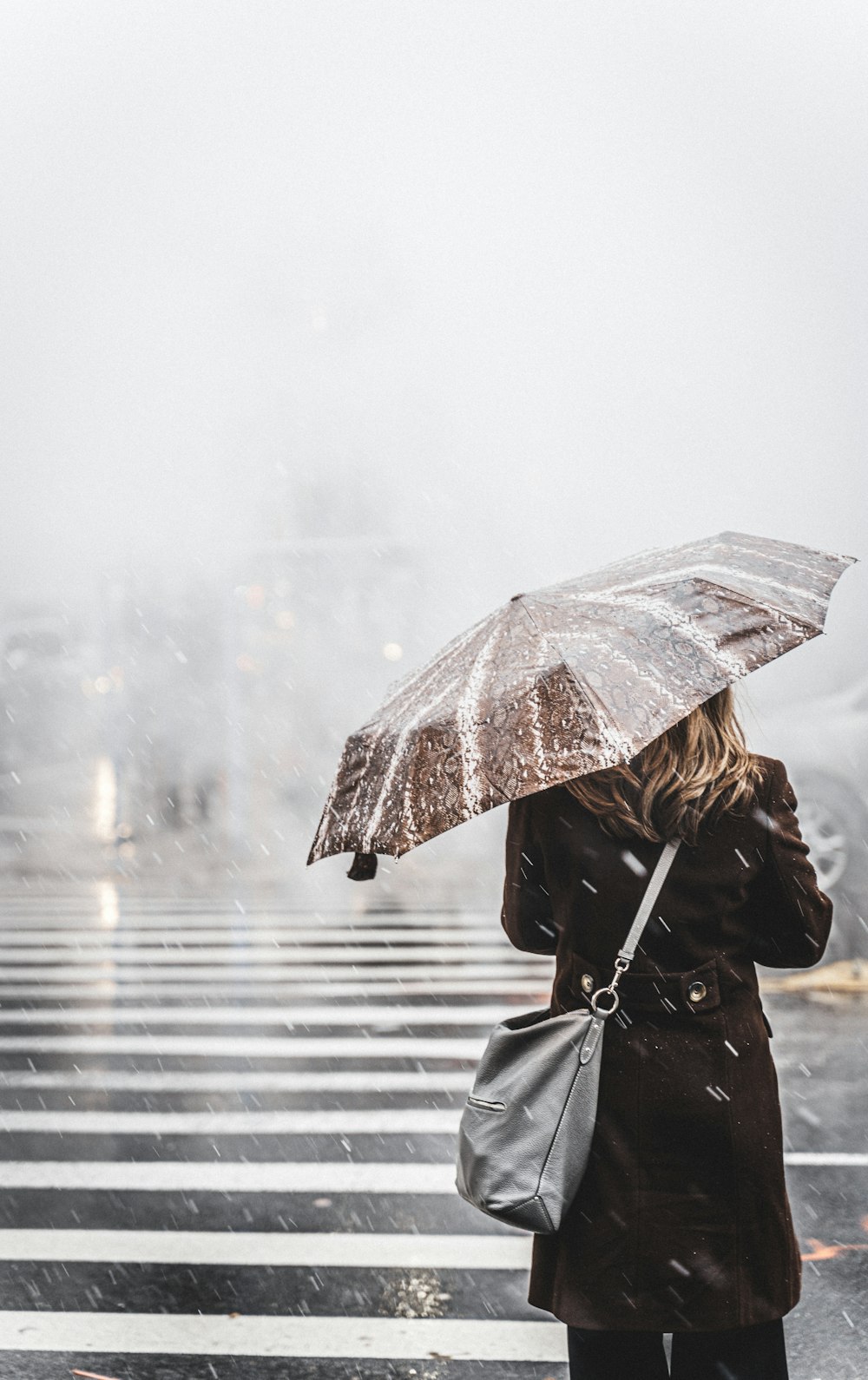 mulher que caminha na faixa de pedestres enquanto segura o guarda-chuva