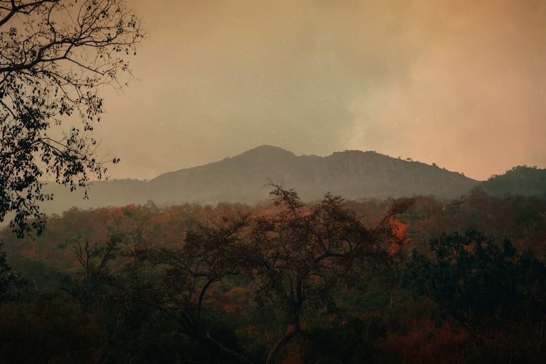 travelers stories about Hill in Hogenakkal, India