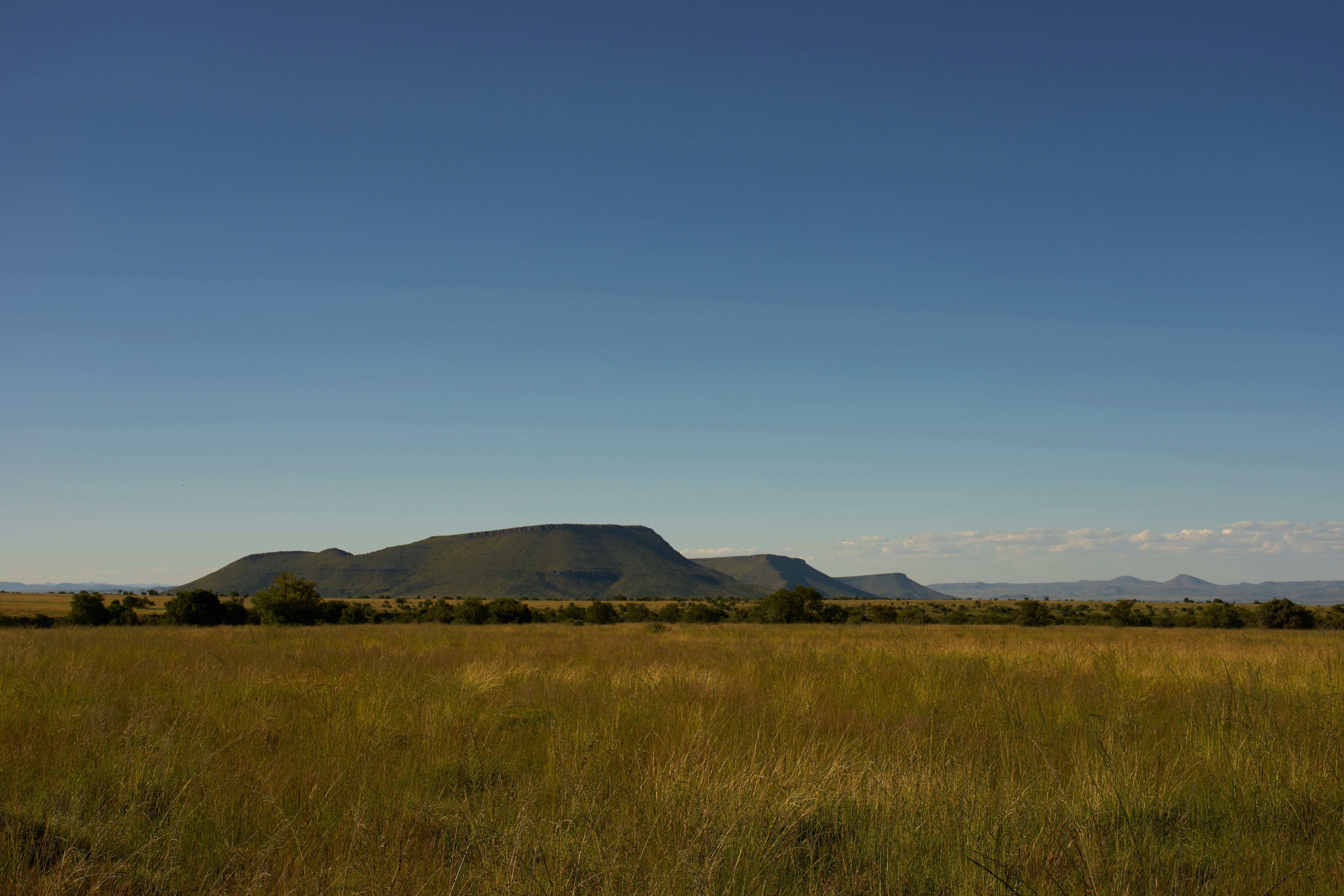 Photo by wolfgang_hasselmann