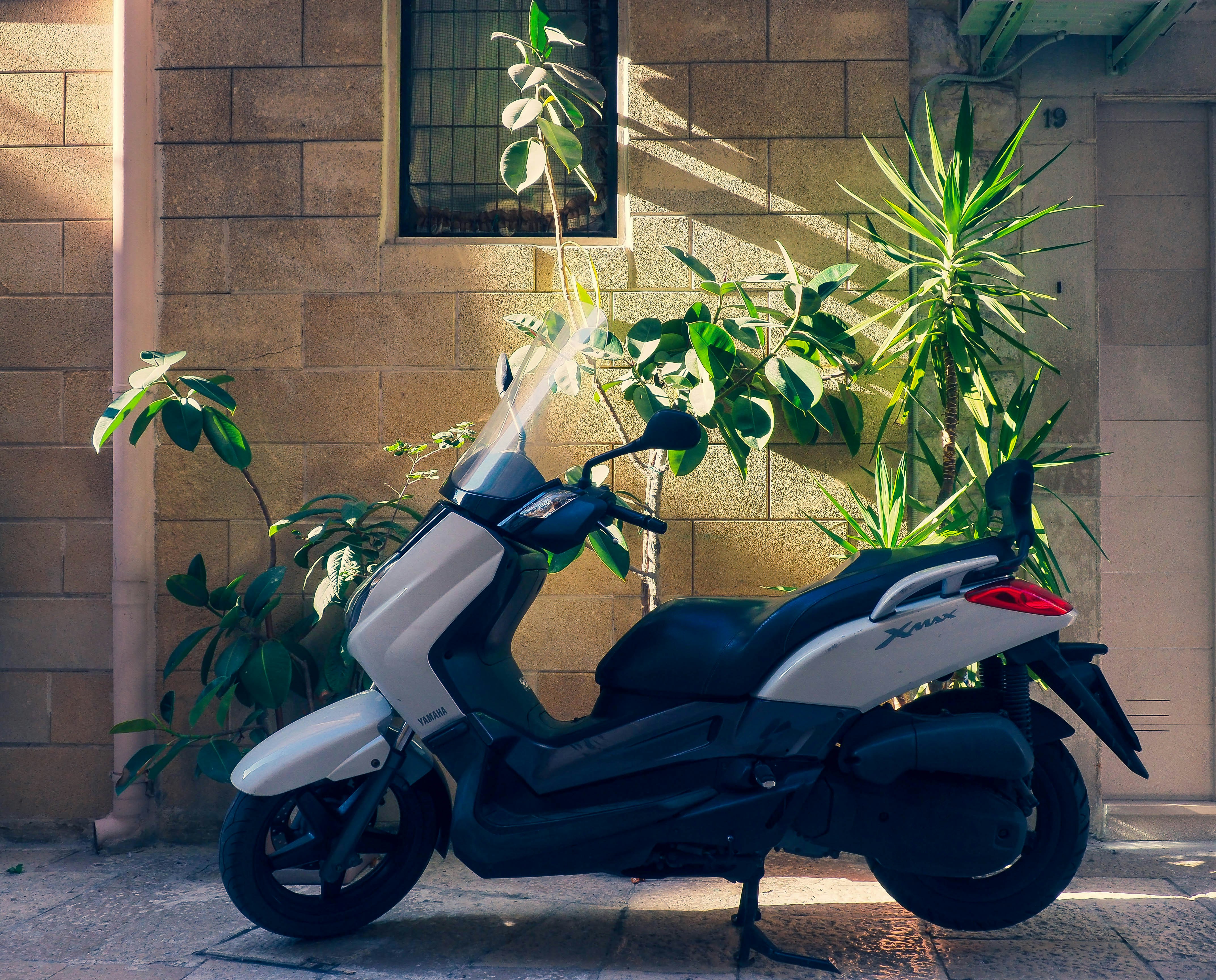 Photo by bienculina89