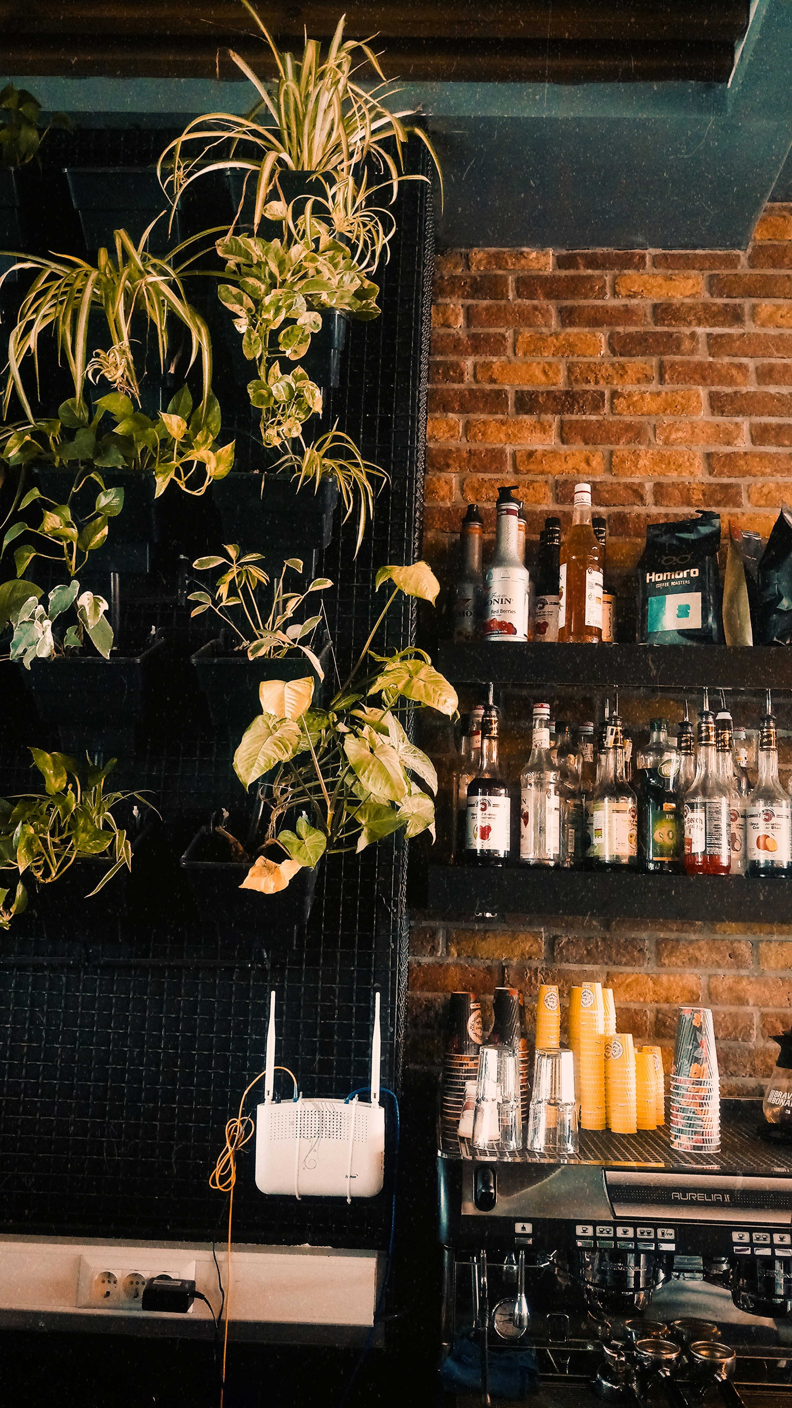 A cozy cafe setting featuring a brick wall with shelves holding various liquor bottles. Lush green plants add a touch of nature, cascading from the top left. An espresso machine sits on a counter with stacked yellow cups, indicating a casual and inviting atmosphere.