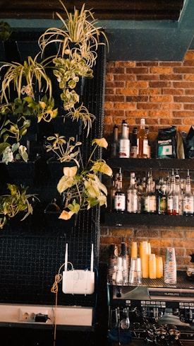 A cozy cafe setting featuring a brick wall with shelves holding various liquor bottles. Lush green plants add a touch of nature, cascading from the top left. An espresso machine sits on a counter with stacked yellow cups, indicating a casual and inviting atmosphere.