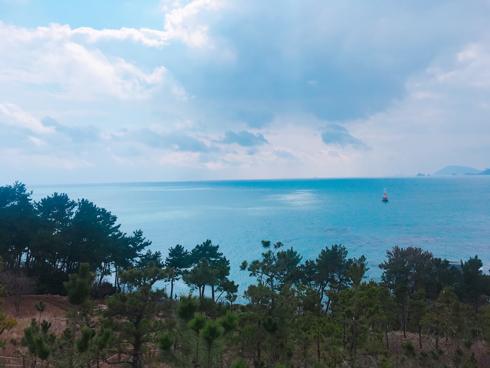 ocean and green trees scenery