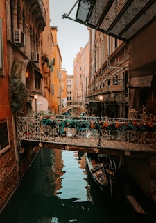 brown bridge and houses scenery