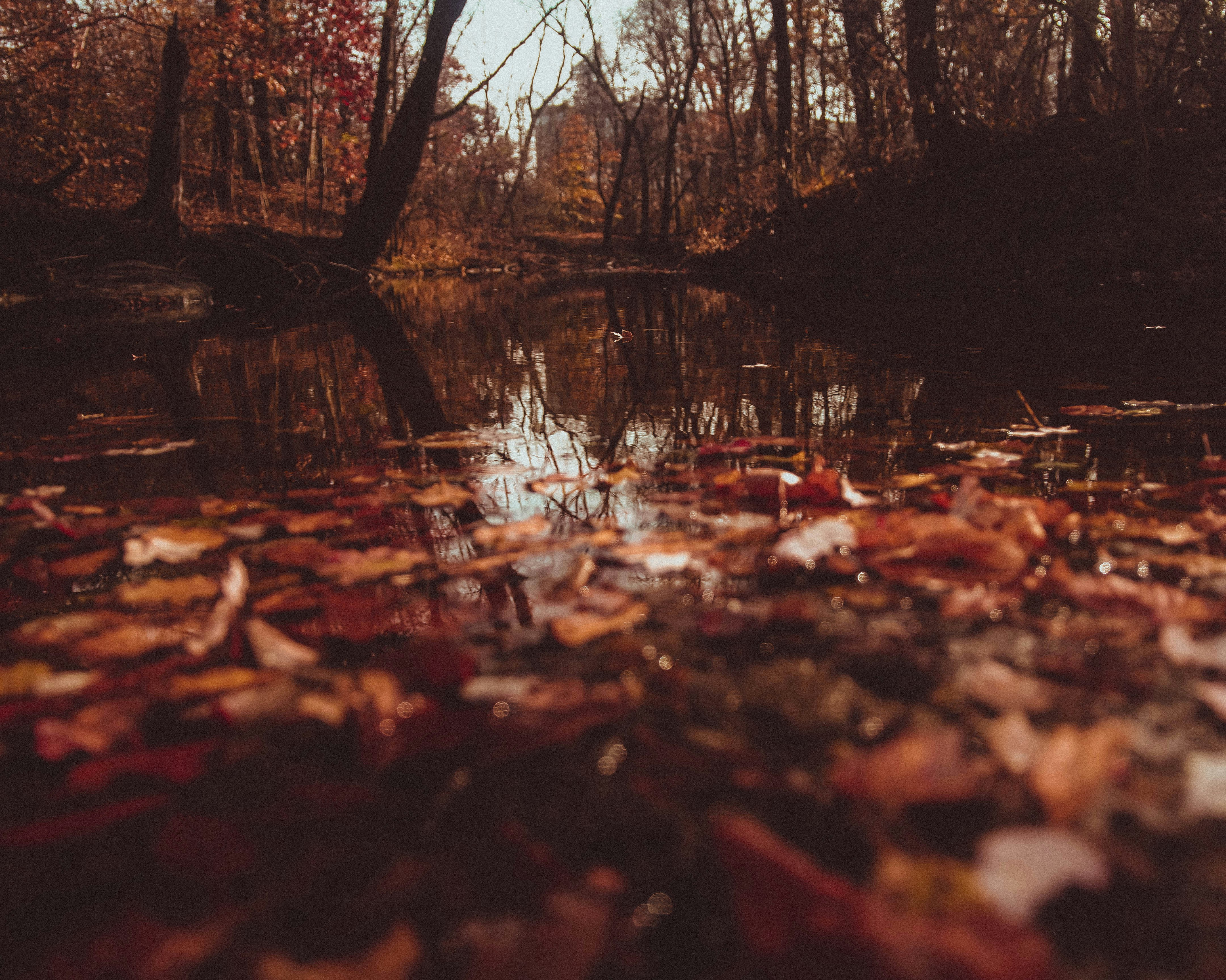 Photo of Bensalem, Pennsylvania