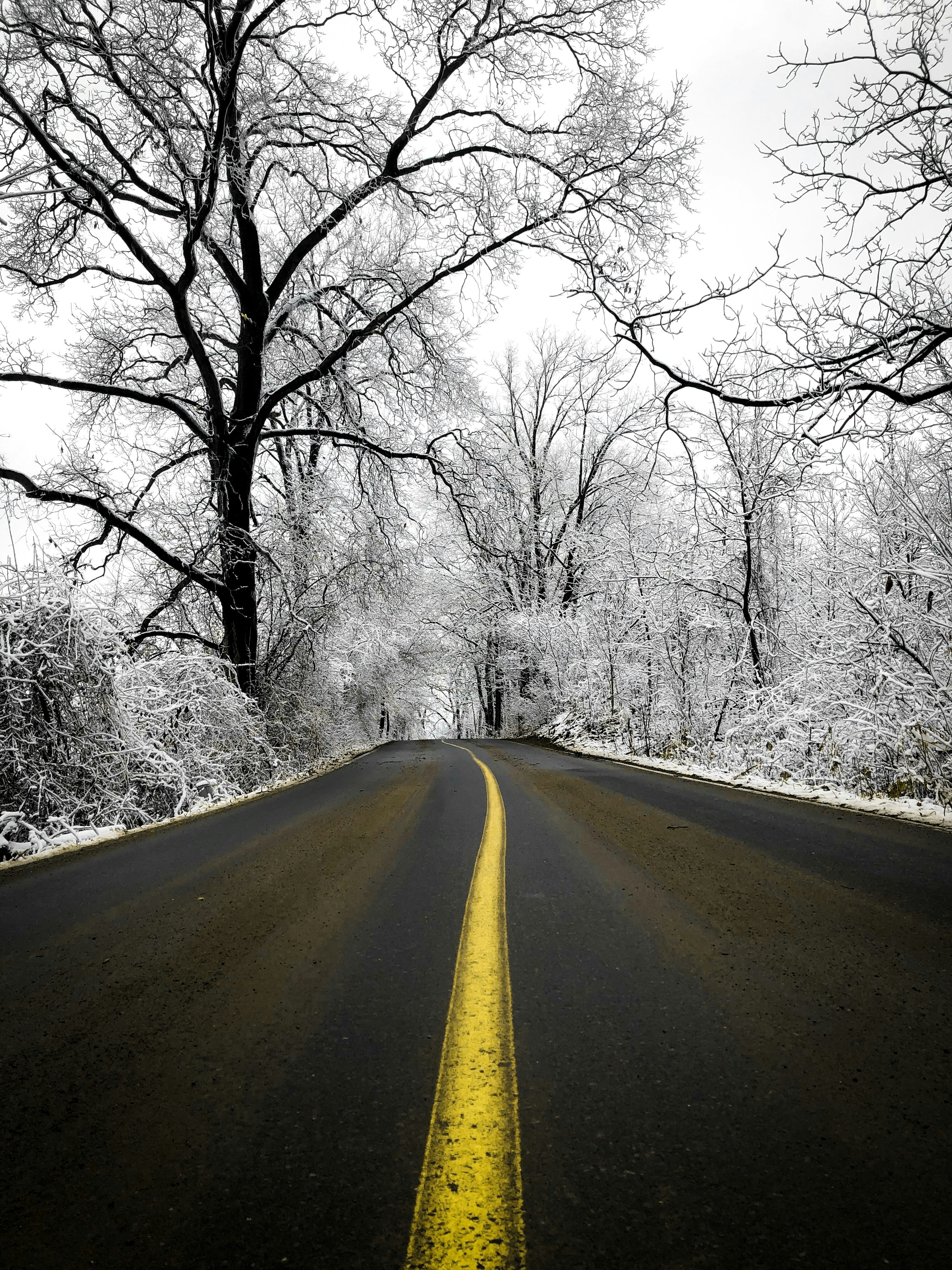 Photo by iamcarsonian