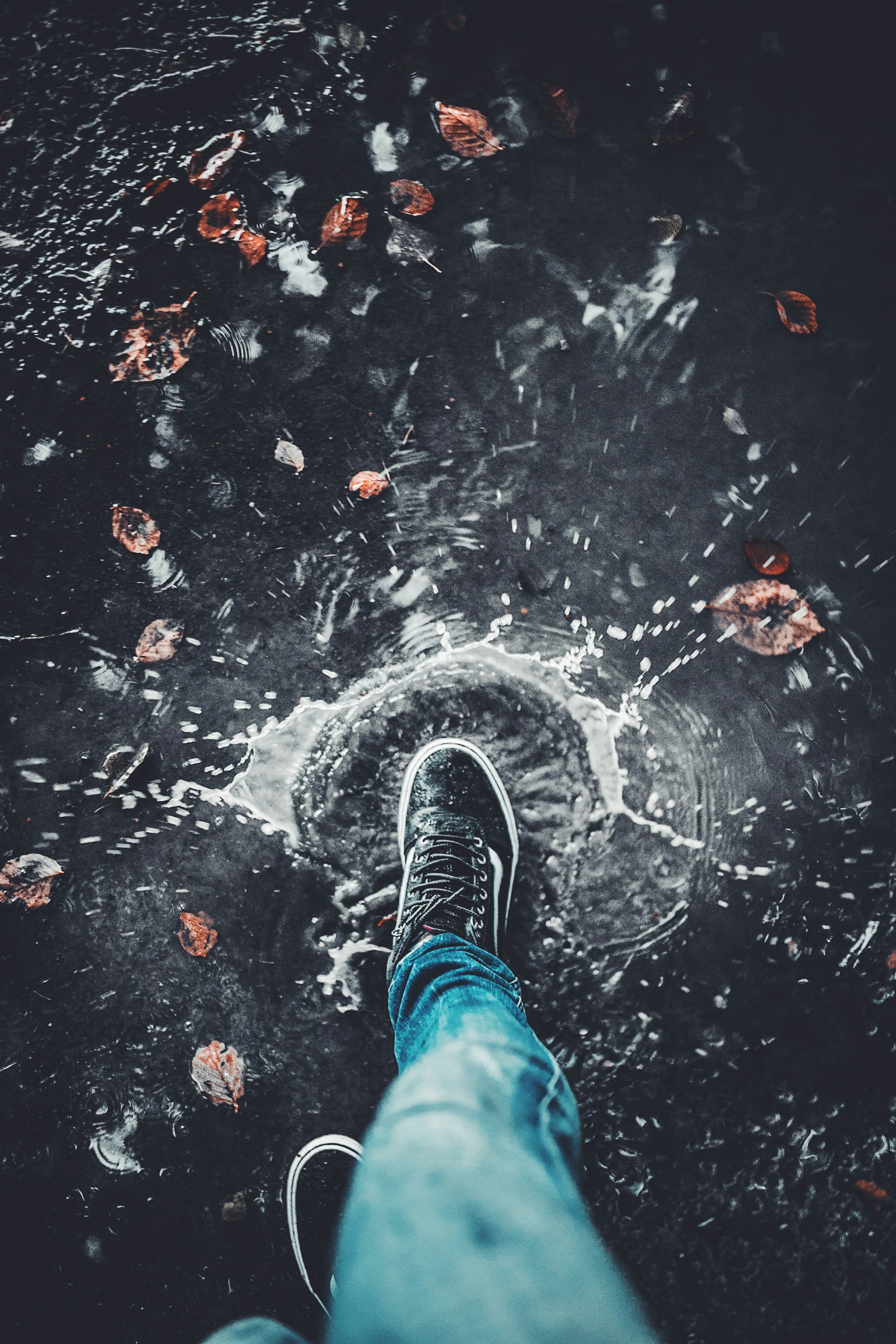 Photo by lorenzohamers