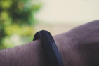 A close-up of a sleek fitness tracker on a wrist during a morning run.