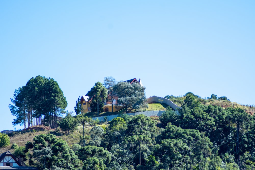 structure on hill beside trees