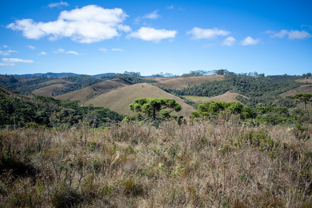 brown grass field and brown mountain