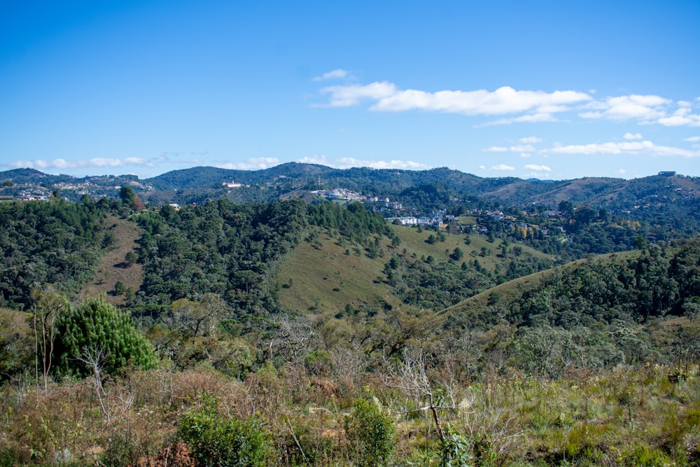 green mountain grass field