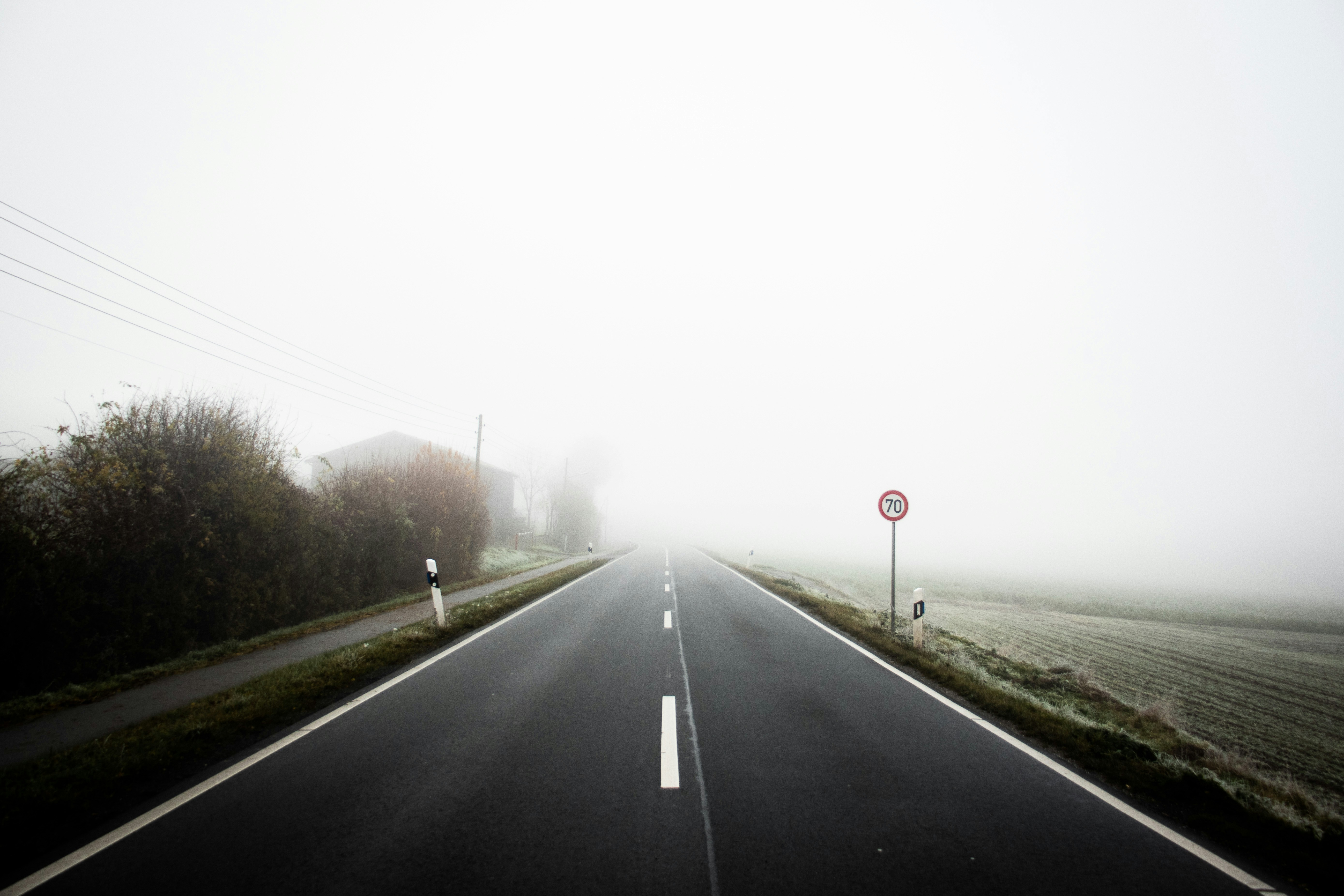 Photo by noaheleazar