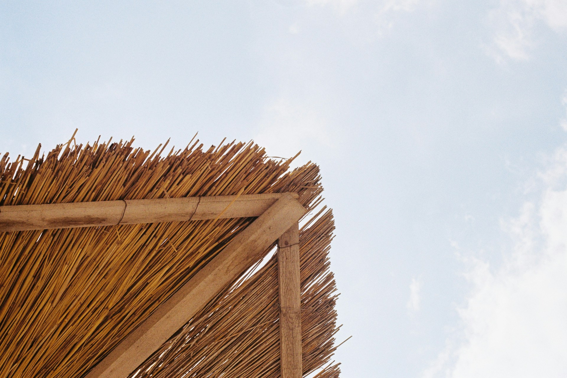 woman wearing yellow long-sleeved dress under white clouds and blue sky during daytime